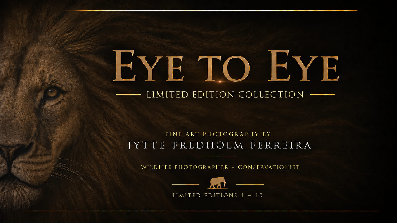 Eye to Eye limited edition collection cover