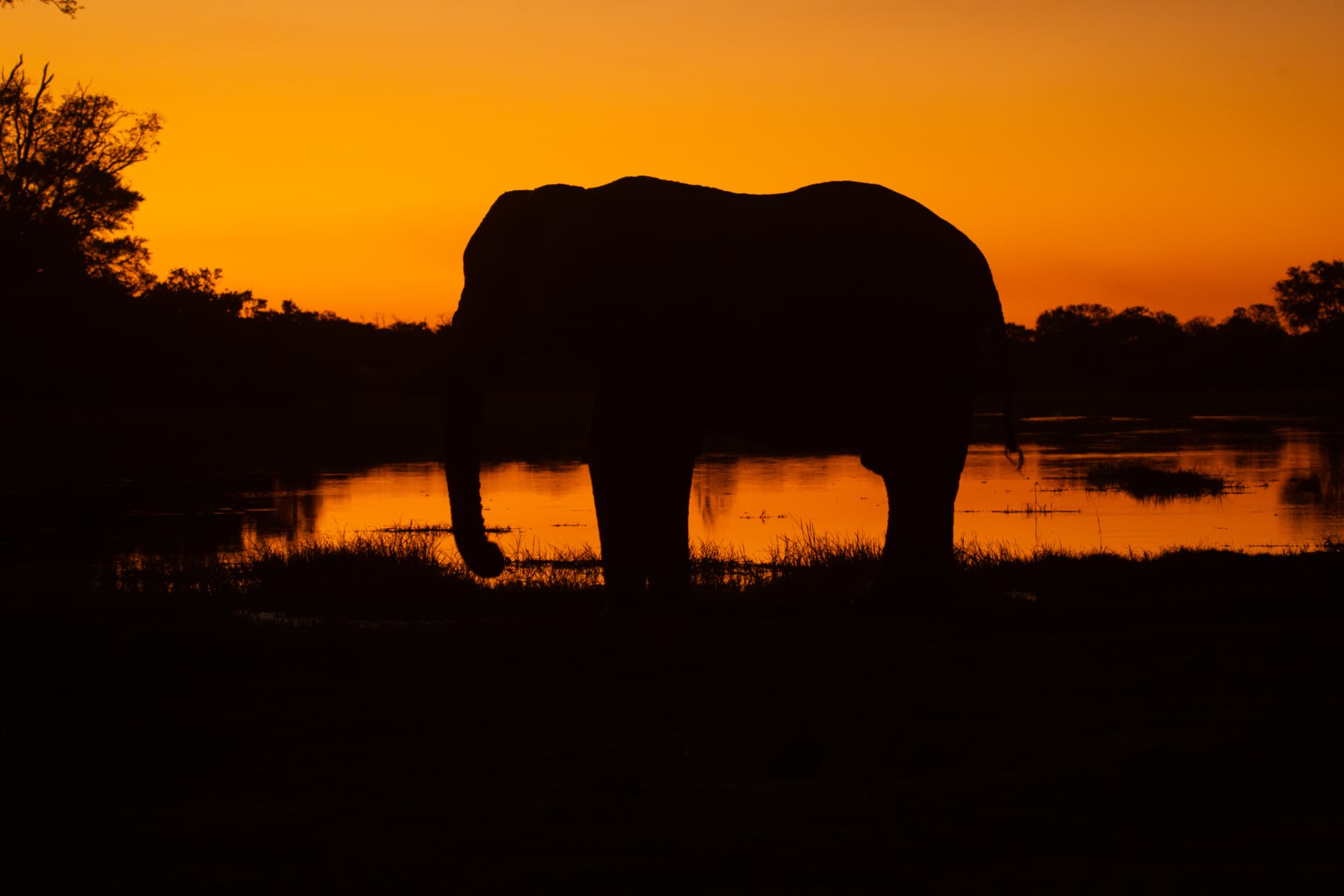 Delta at sunrise