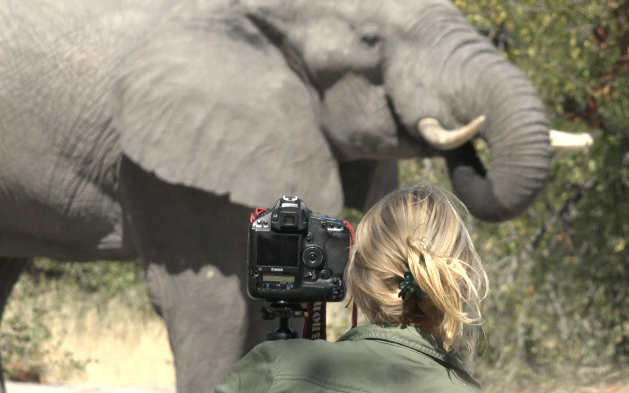 Jytte photographing an elephant drinking from a waterhole