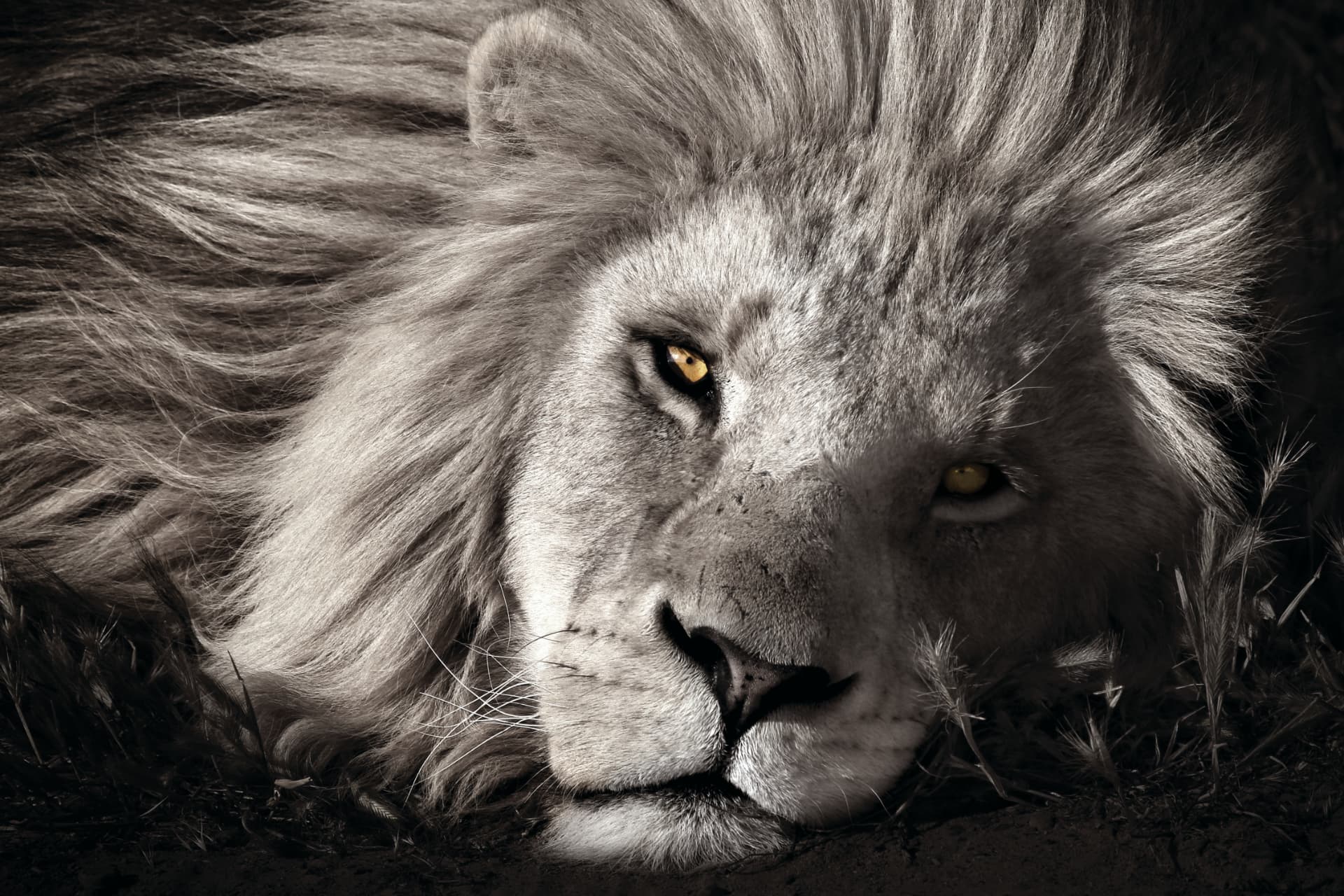 Power & Glory