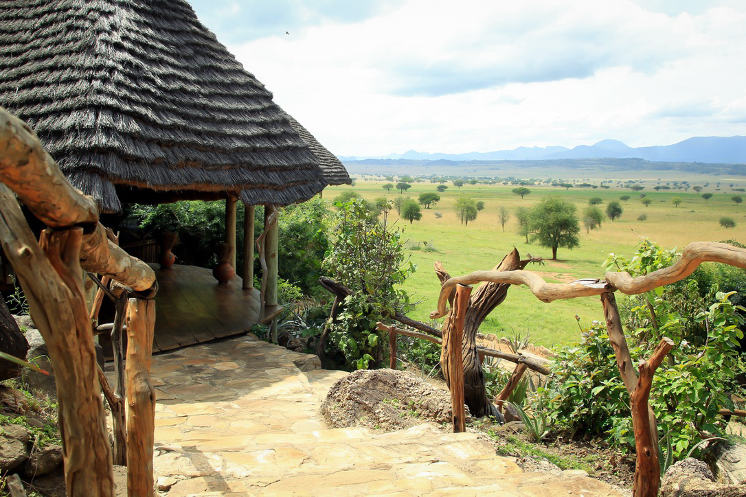 Thatched lodge overlooking the plains of Kidepo Valley