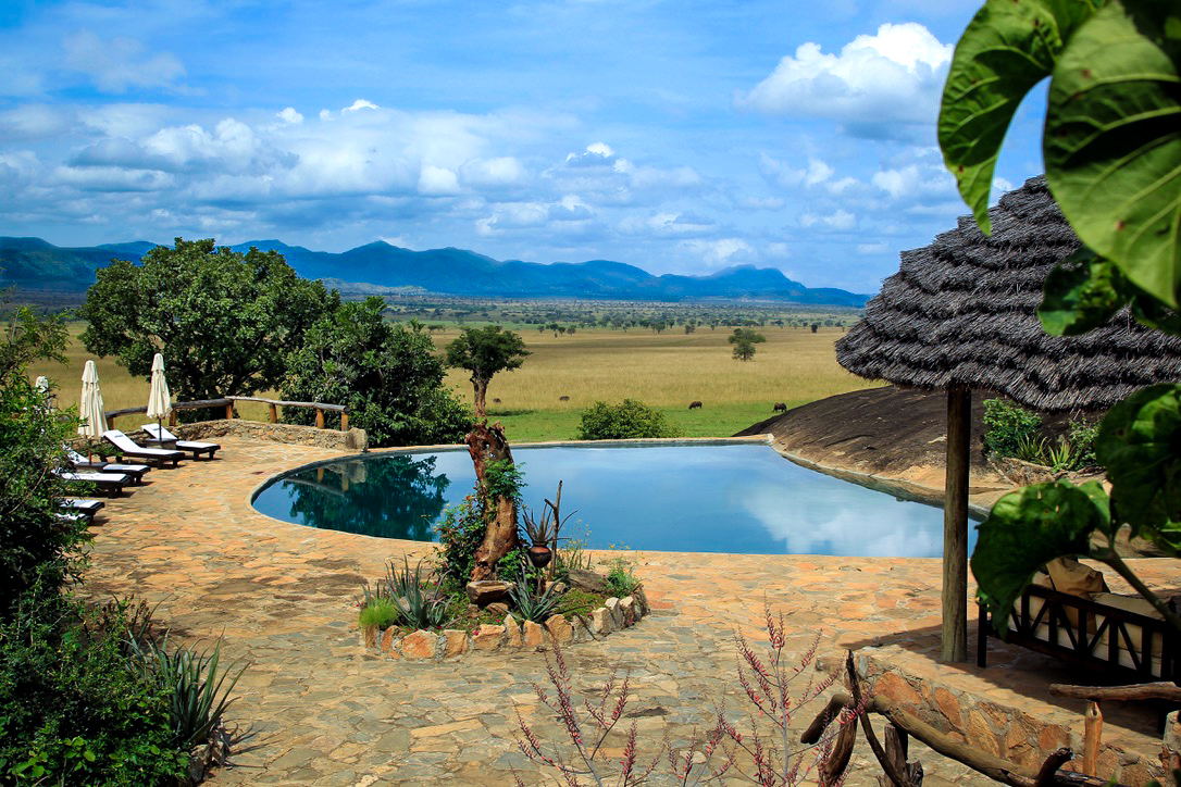 Pool at a lodge above the Kidepo Valley savannah
