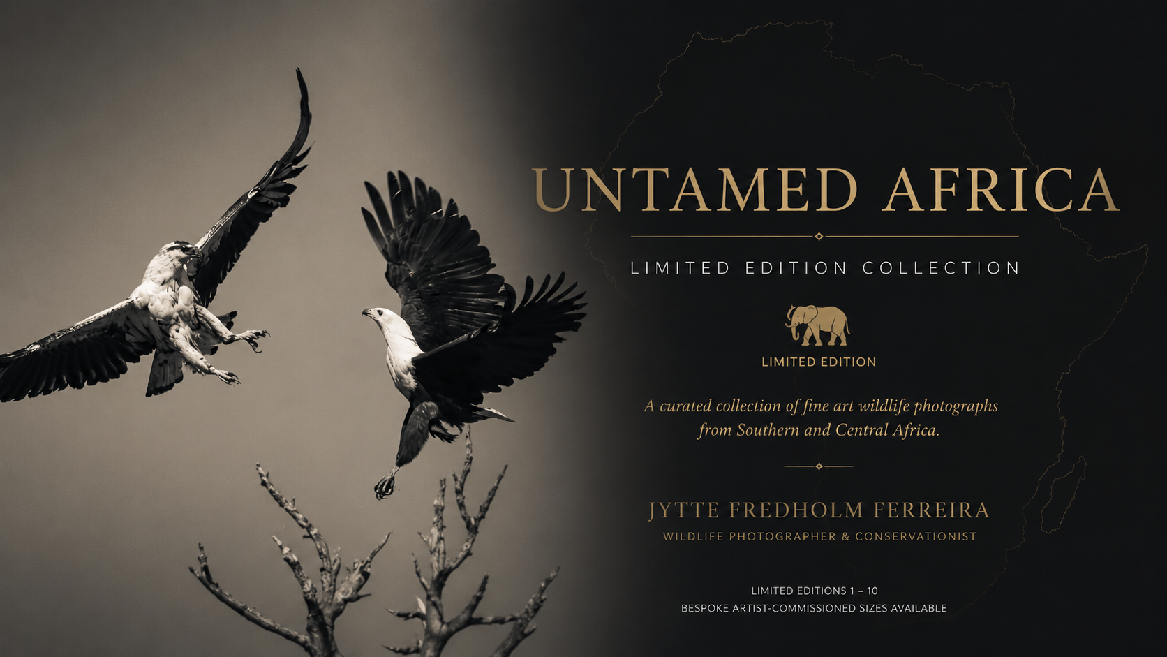 Untamed Africa limited edition collection cover