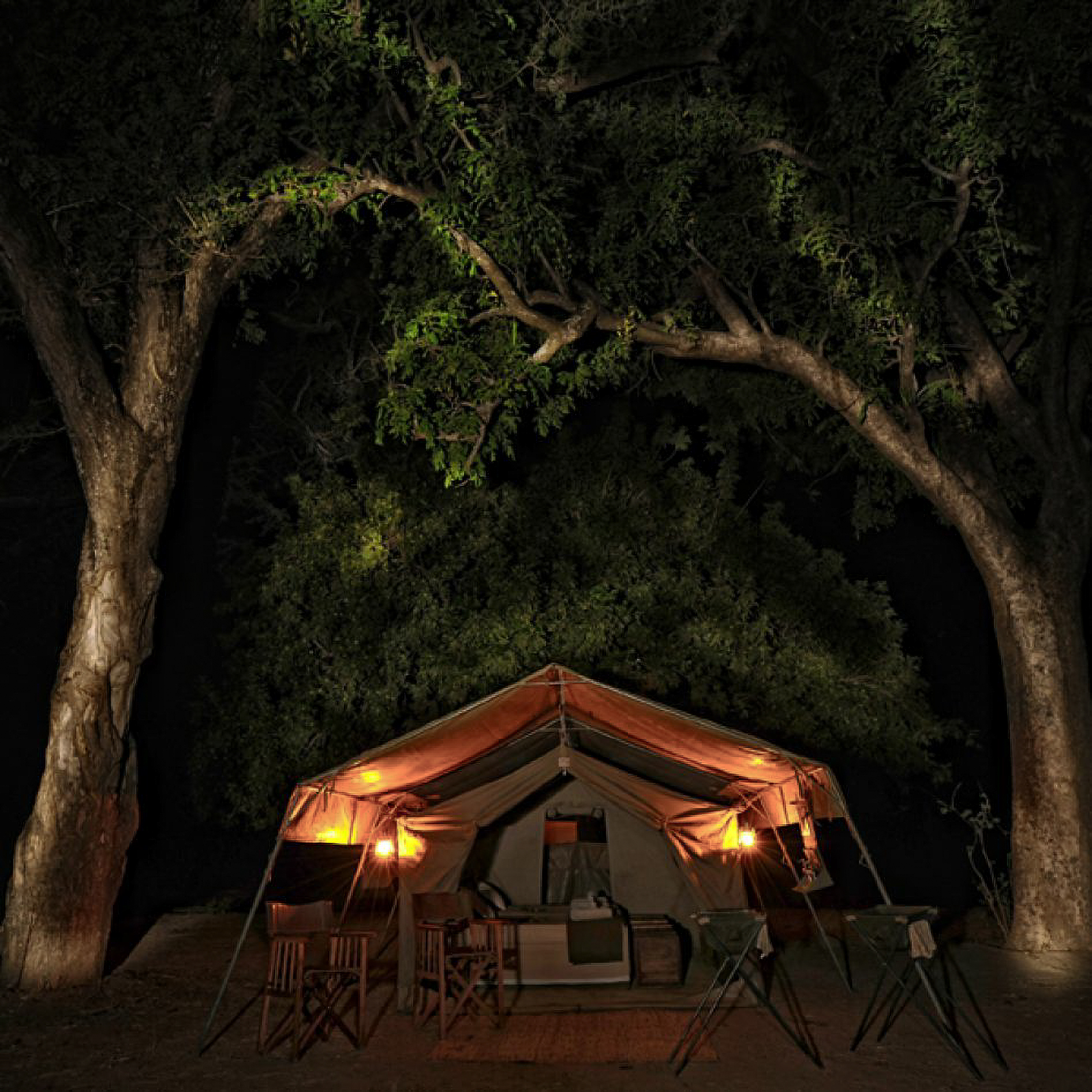 Safari tent lit at night beneath the trees